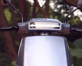 鄧超同款座駕臺鈴獅子實測,售價3899元起,最大續(xù)航180km