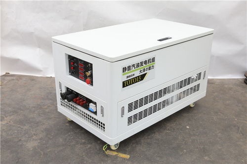 張家口高原特供 TOTO25汽油發(fā)電機在特殊環(huán)境下的機電產(chǎn)品應用